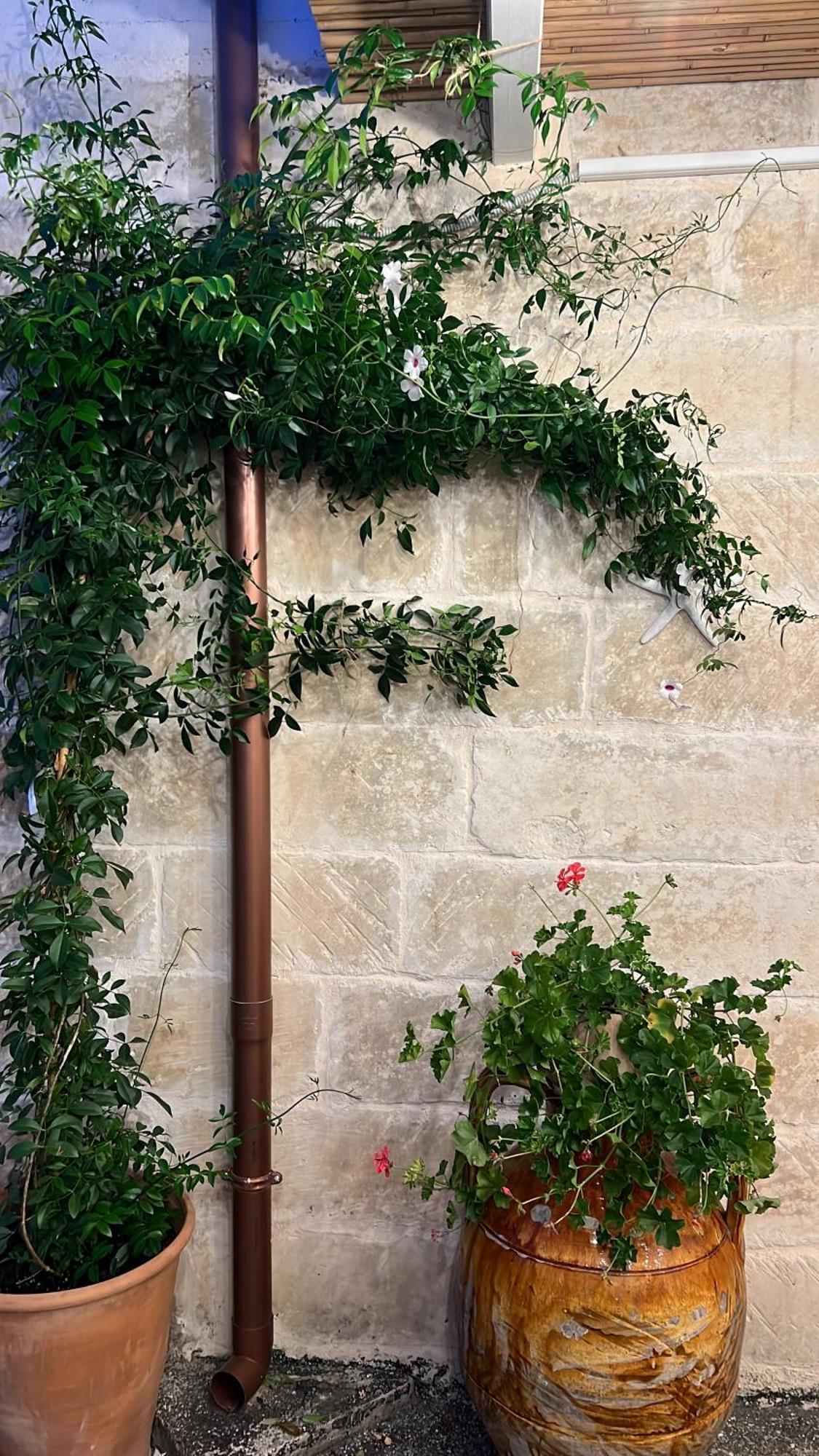 Suite Battisti 7 Lecce Exteriér fotografie